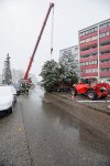 19.11.2022 Christbaum für die Kremser Feuerwehr